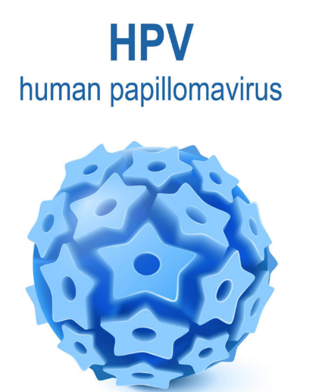 感染hpv,给免疫系统套上3种"buff,不管是哪一型病毒都被吓跑