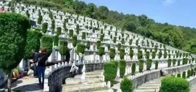 麻栗坡烈士陵园一共有957座墓碑, 有的几十年家人都没条件来看一眼.