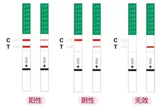 成人用品640_443买客户找去哪里的情趣用品图片