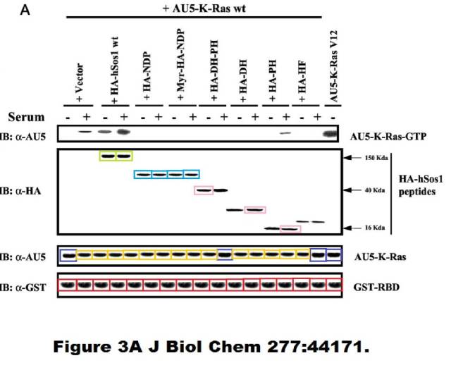 这篇4分SCI文章的条带造假手法,堪称一绝!