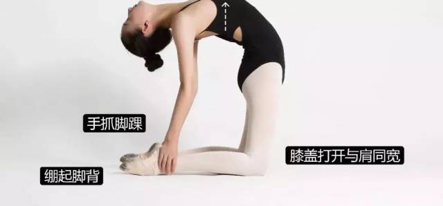【涨姿势】必收藏的中国舞基本功图解