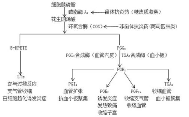 化学相关 || 阿司匹林居然是柳树皮提炼的?天啦噜!