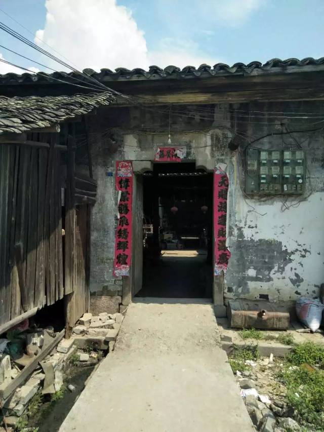谁认识奉新这位"蜂蜜侠"?40年前的一场大病让他