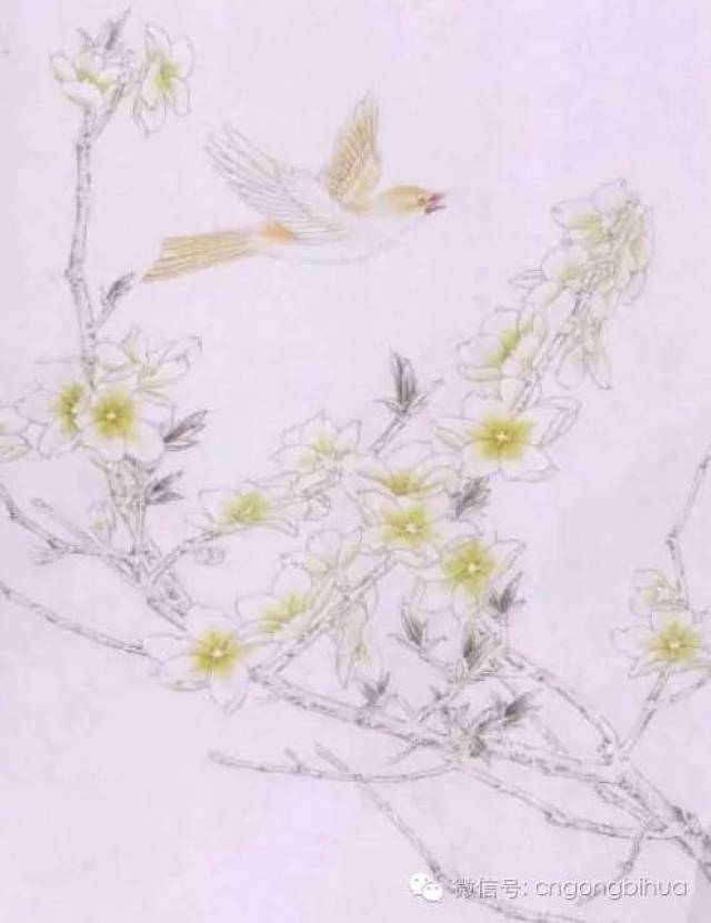 工笔桃花画法与线描画谱