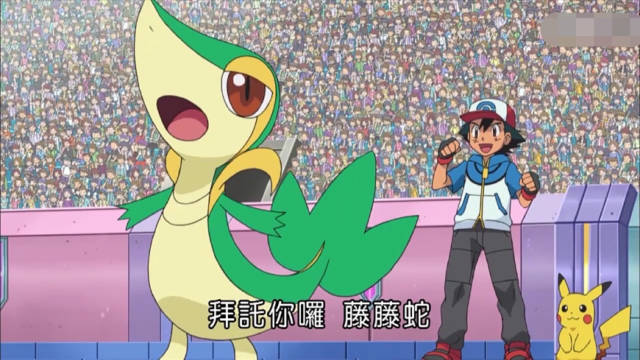 小智有7只草系神奇宝贝,第3只秒杀神兽,最后1