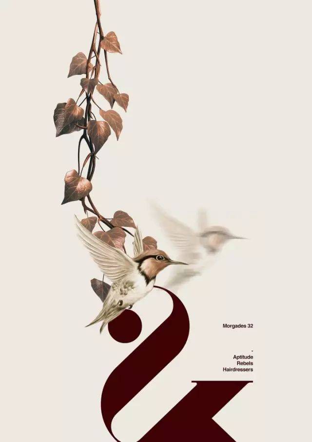 海燕的图片长什么样 7c0ac03157c94f538785bd606505c0c7.jpeg