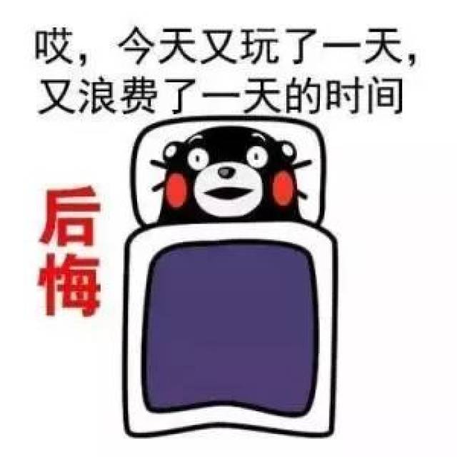 15个高效学习工作app,总有一个能征服懒懒