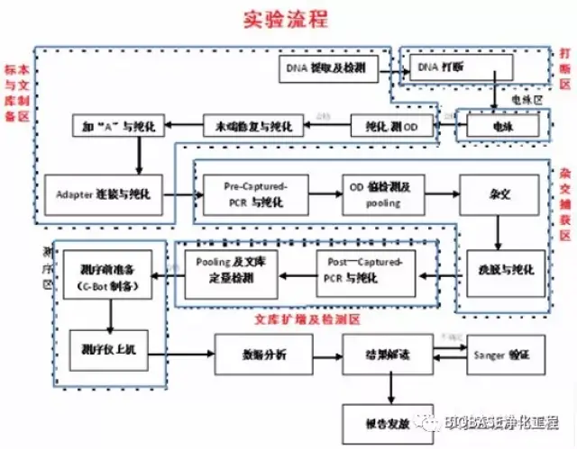 主要仪器设备:高通量测序仪,pc电脑,打印机,ups,恒温金属浴,纯水仪