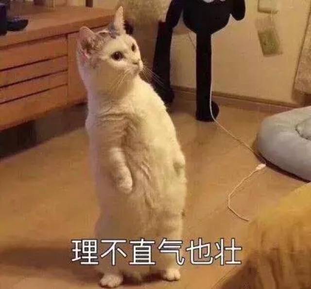 当别人夸你很帅的时候,你就应该非常谦虚的回应 而且你要勇敢的承认