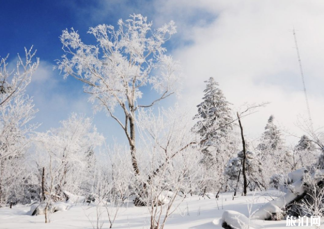 2018年暑假期间国内旅游十大最热门城市推荐