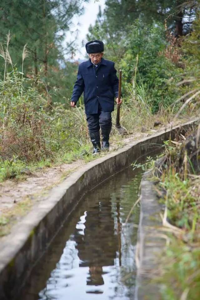 黄大发,这个生活在贵州遵义市播州区平正仡佬族乡原草王坝村的老人,有