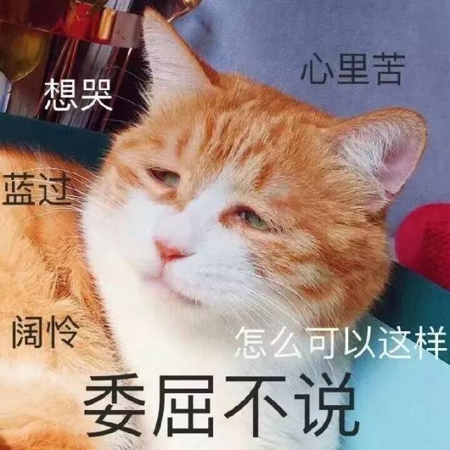 当你与妈妈说自己想