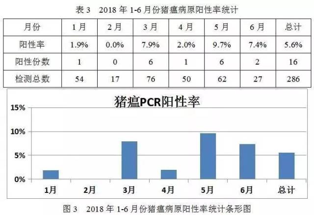 【流行病大数据】猪瘟2018年上半年检测情况