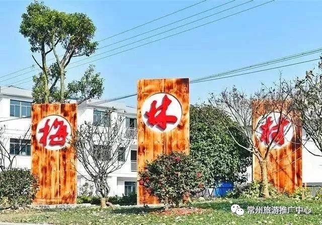 各位常州人, 是你们村上吗~ 梅林村位于新北区西夏墅镇东部, 东接春江