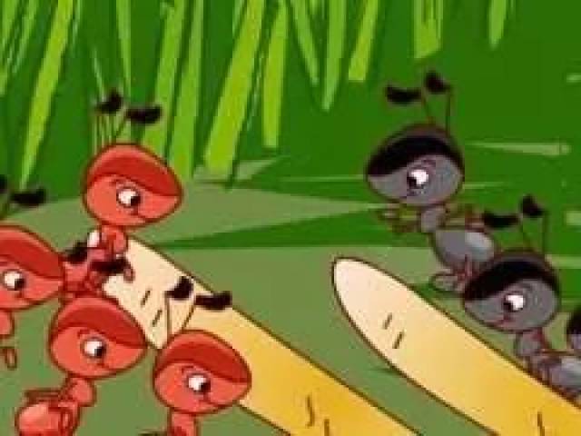 有声绘本|《红蚂蚁和黑蚂蚁》