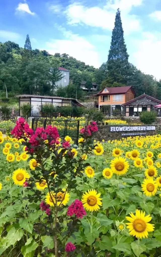 附近有前童古镇,浙东大峡谷,梁皇山风景区及三门县,天台县多个景点