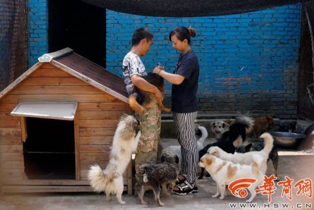 西爱子自掏50万救助v爱子狗圣地亚哥别墅美国图片图片