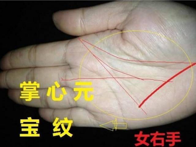 对于一些特殊的纹路"元宝纹"是比较罕见的,不管男女,拥有此手相纹路
