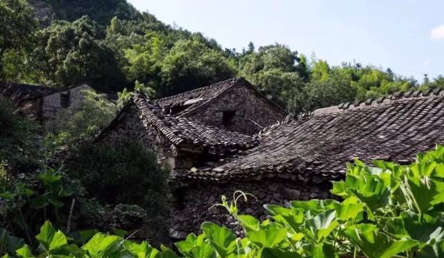 今天,小编亲自带你走进邵家渡街道年坑村.