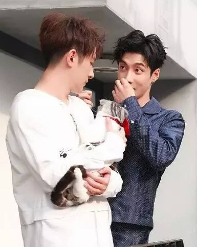 《SCI谜案集》:来自白展的兄弟情了解一下