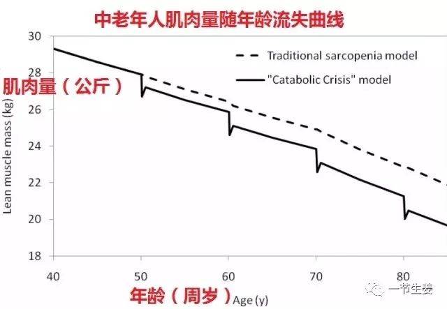 中老年人的肌肉量大约萎缩5-10,而且这个肌肉流失速度是随着年龄