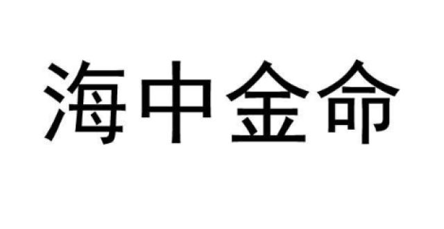 海中金命是什么意思怎么样才能旺