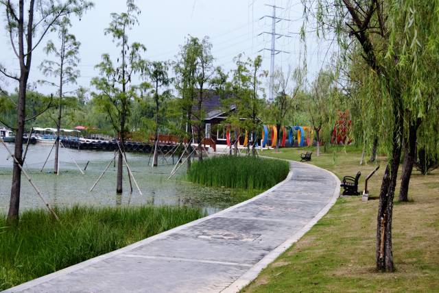 徐州九里湖,昔日的采煤塌陷地,如今的湿地公园,吸引八