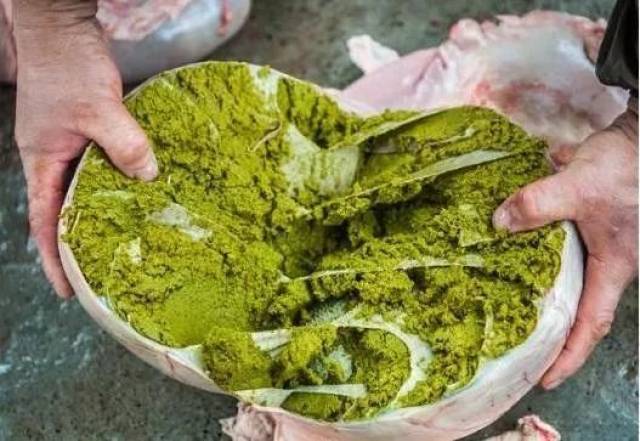 贵州牛粪火锅 你敢尝试吗?