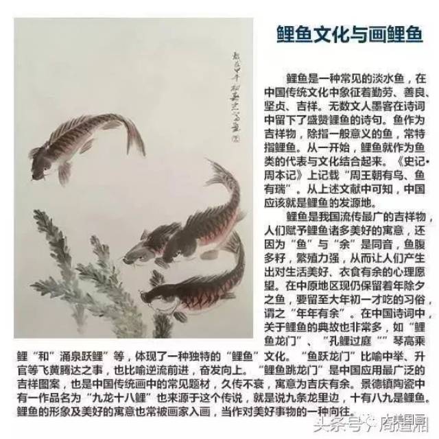 跟徐湛老师学国画各类鱼的画法: 二,写意红色鲤鱼的画法 "鱼"与"余"