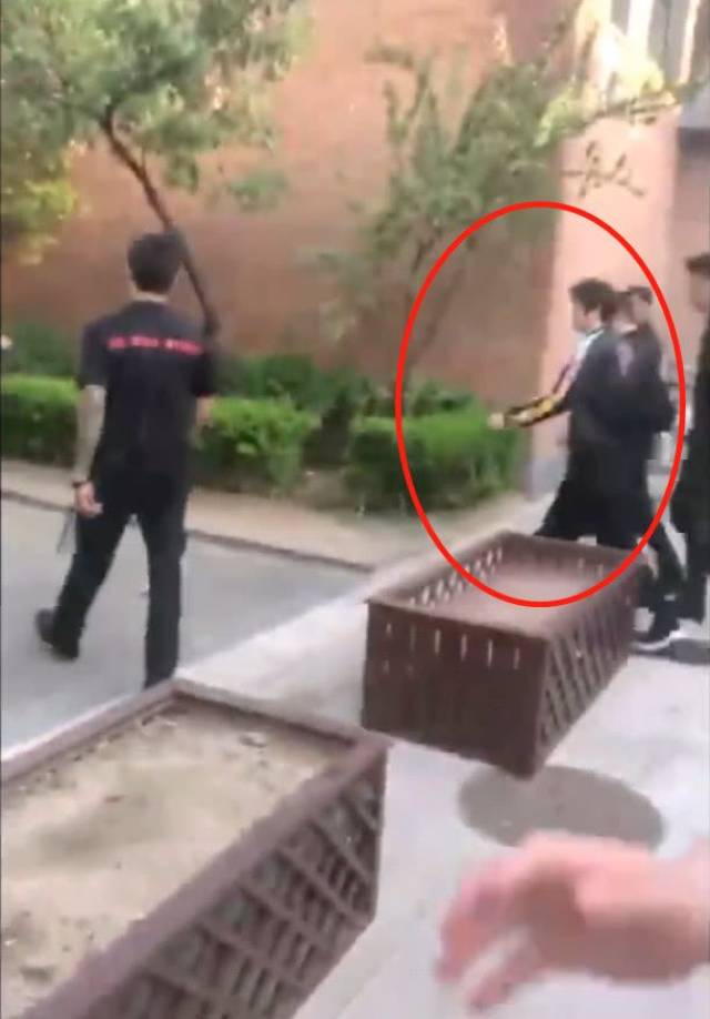 今日爆料:蔡徐坤耍大牌用替身?杨超越随地吐痰?谢霆锋