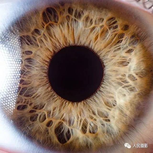 微距瞳孔摄影|无限深邃 无限惊艳