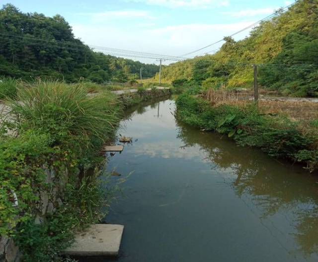 6. 白土村河道整洁