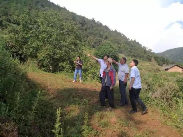 为民办实事的好村官 ——武定县己衣镇分耐村党总支书记,主任李华志