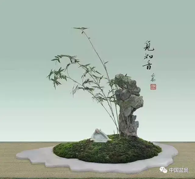 竹子盆景欣赏及其矮化技巧