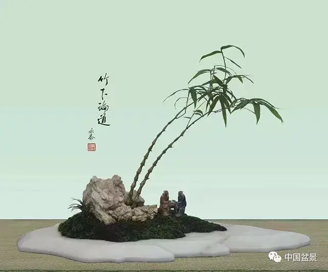 竹子盆景欣赏及其矮化技巧