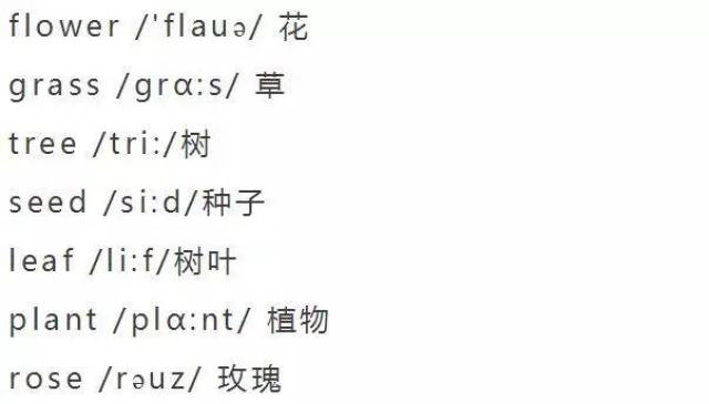 喝的英语单词大全100个 f1d098750cd14c87bc20aa8e59ea2809.jpeg