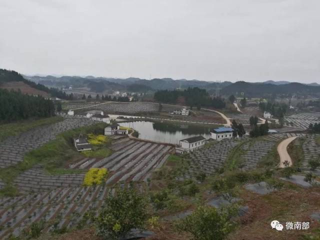 南部县东坝镇打鼓山村距县城30公里,面积4.