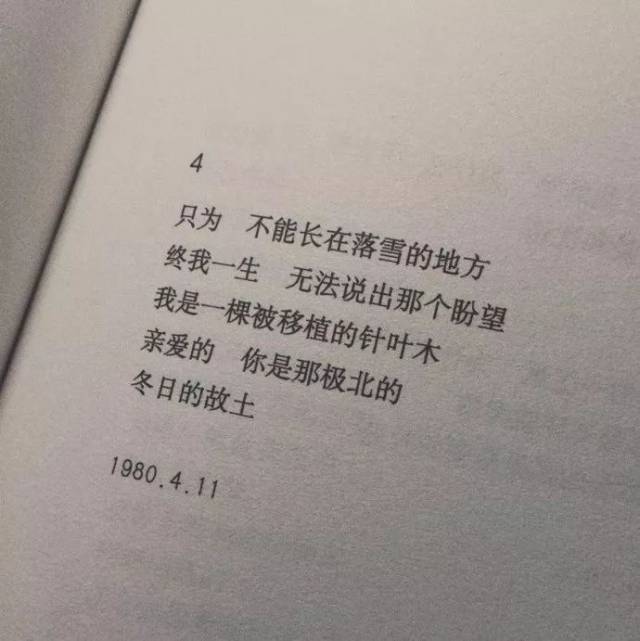 究竟什么样的终点才能配得上这一路的颠沛流离