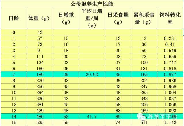 三,白羽肉鸡生产性能表 1,罗斯308生产性能表