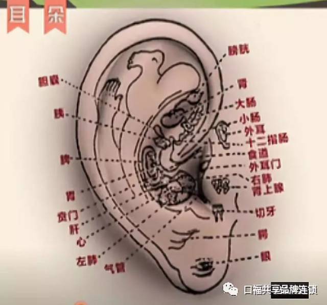 血压,糖尿病,颈椎病都要重视自调自解,以下这7个简单手法,学会坚持