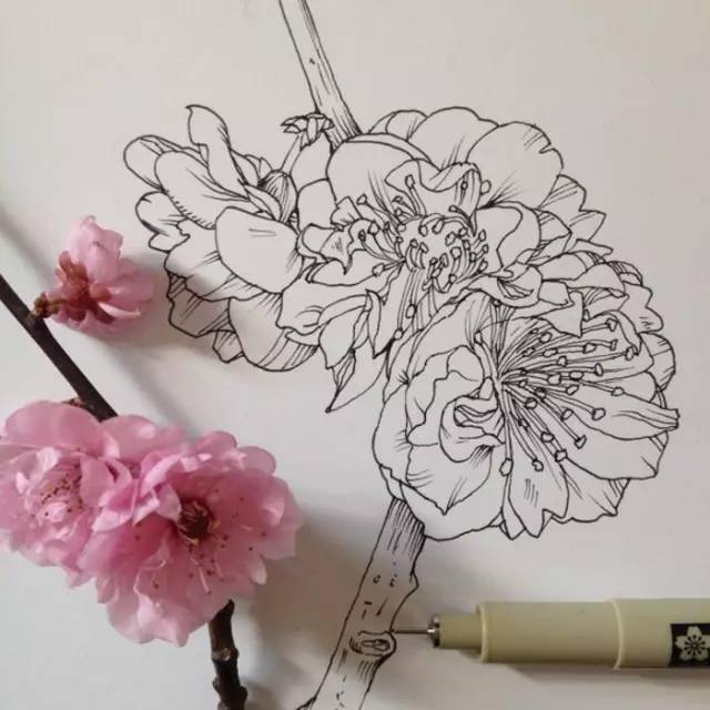 画起来也不难～ 艺术家noel badges pugh的针管笔绘插画, 精致的细节