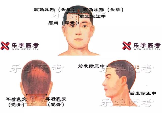 针灸骨度分寸定位表格加图片,穴位定位还怕记不准吗?