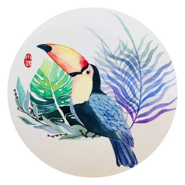 3分钟,教你学画一幅轻松的水彩小插画——巨嘴鸟