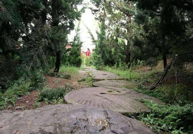 咸阳沣河森林公园
