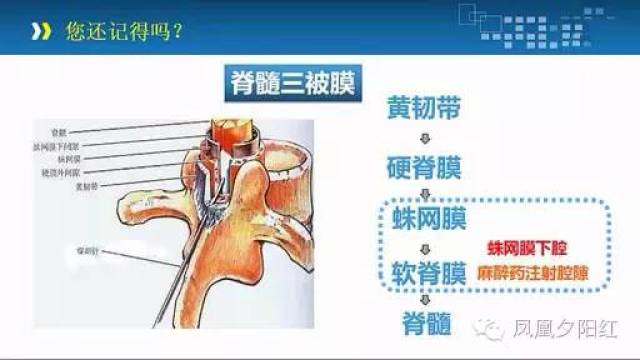 【养老护理系列十五】| 腰麻病人术后出现头痛,不知道
