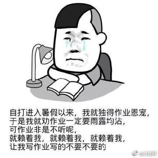 高中:让人崩溃的暑假作业,网友:你以为老师会检查暑假