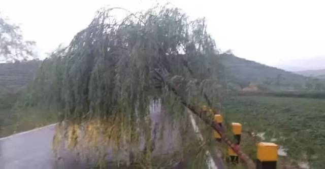 积石山多少人口_积石山县(2)