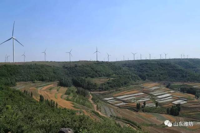 临沂市平邑县白彦镇彭庄村 十一,聊城市(1个) 聊城市莘县河店镇马桥村