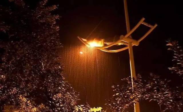 雷阵雨 高温 7级大风,出行这些要注意