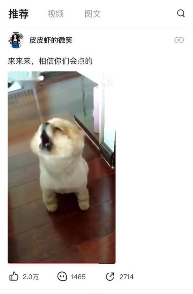 这个视频早在内涵段子上就已经非常出名,馒头由此得到了